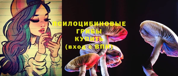 spice Волоколамск