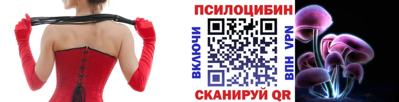 Галлюциногенные грибы Psilocybine cubensis  Пикалёво 