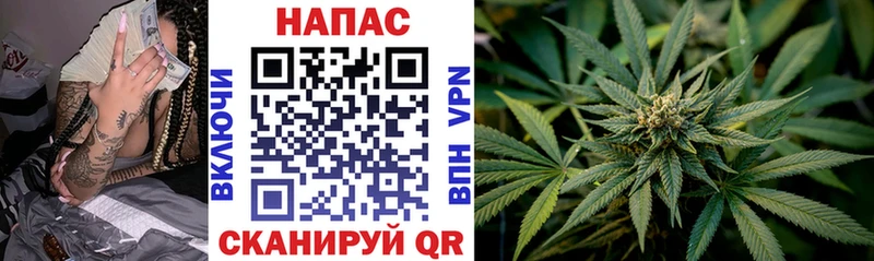 Бошки Шишки сатива что такое наркотик Пикалёво